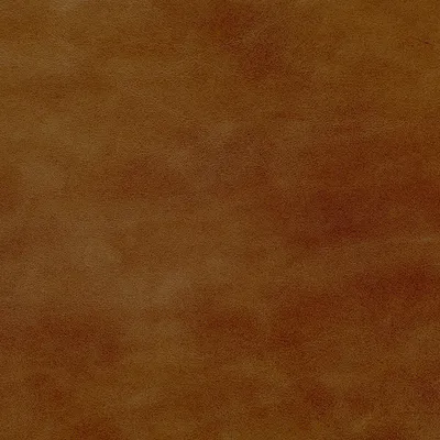 Legacy Cappuccino swatch
