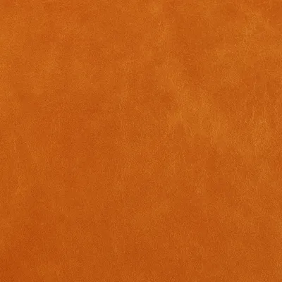 Legacy Fire Coral swatch