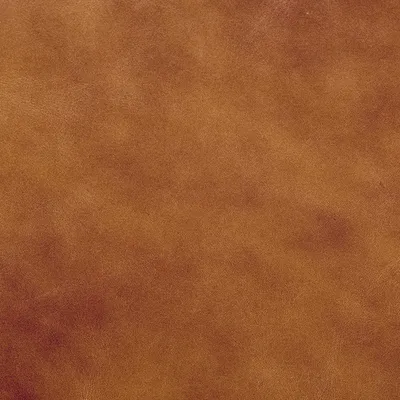 Legacy Dark Caramel swatch