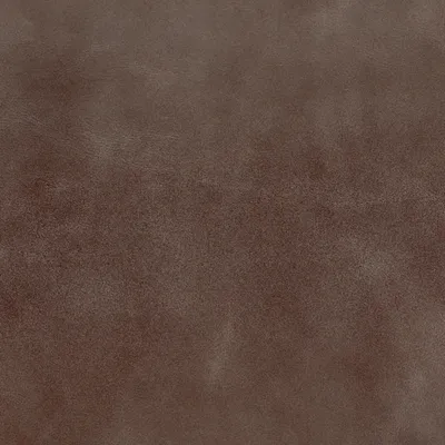 Legacy Steel swatch