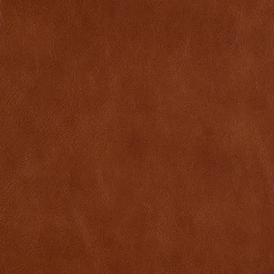 Bruno Canyon swatch