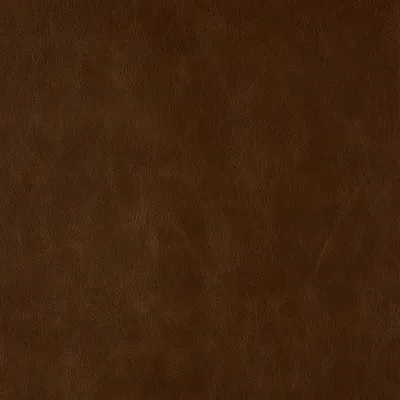 Tuscany Acorn swatch