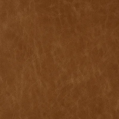 Tuscany Cognac swatch