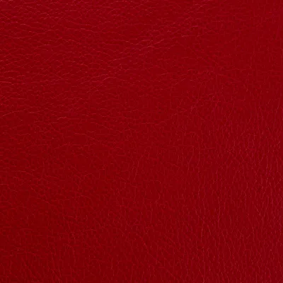 Elegance Red swatch