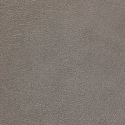 Elegance Dove Grey swatch