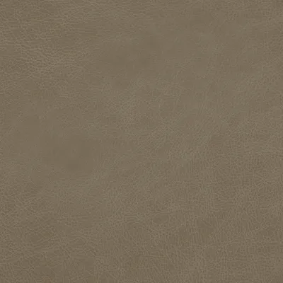 Eastwood Desert swatch