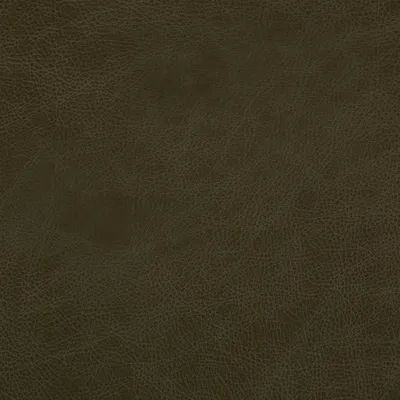 Eastwood Cactus swatch