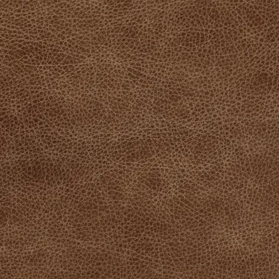 Bronx High Plain swatch