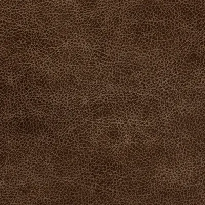 Bronx High Plains swatch