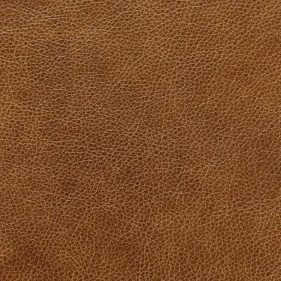 Bronx Us Molasses swatch