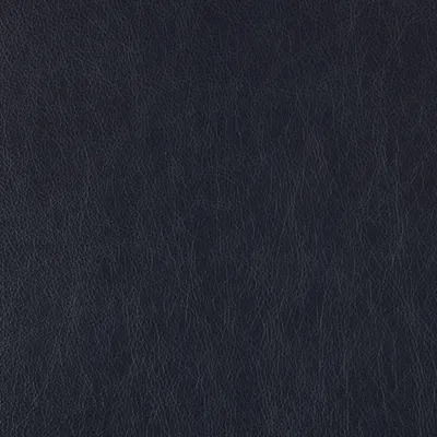 Bronx Pacific swatch