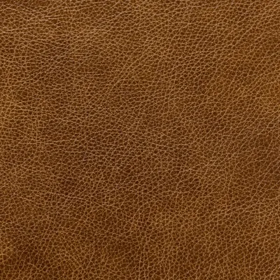 Bronx Molasses swatch