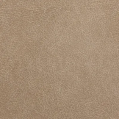 Bronx Moon Dust swatch