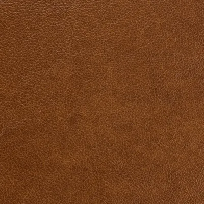 Dante Walnut swatch