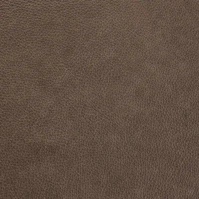 Dante Smoke swatch