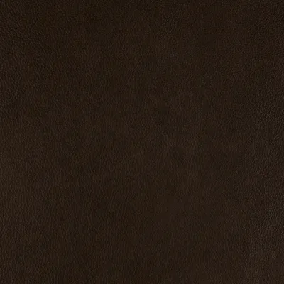 Dante Cappuccino swatch