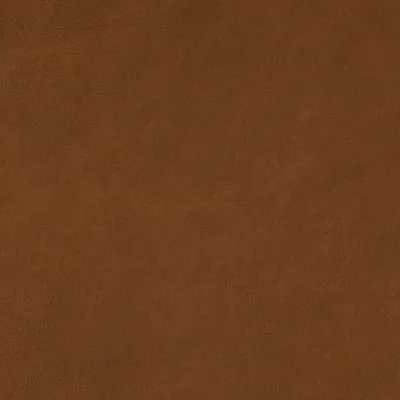 Dante Sundance swatch