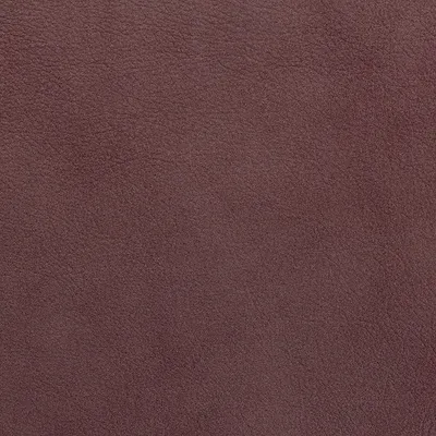 Storm Burgundy swatch