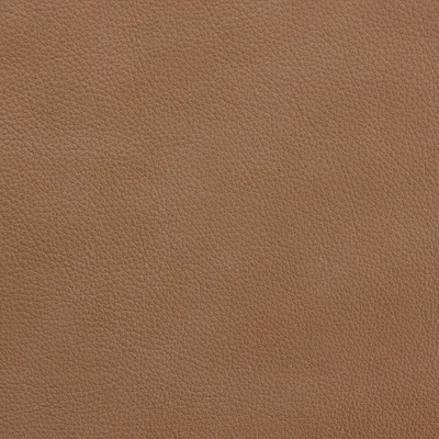 Storm Wood swatch