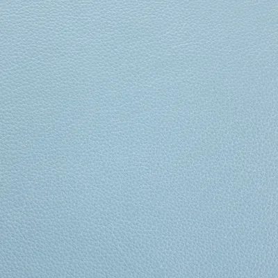 Shelly Chalk Blue swatch