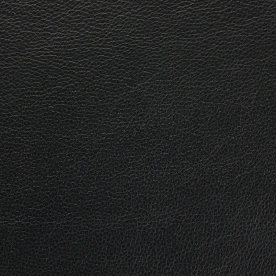 Shelly Carbon Black swatch