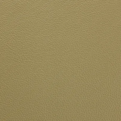 Hemingway Eu Sage Leaf swatch