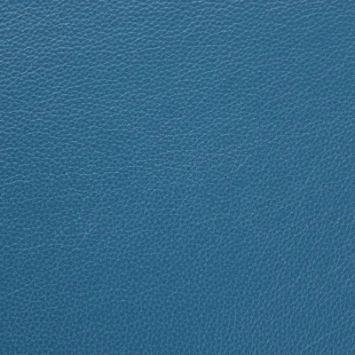 Shelly Sapphire swatch