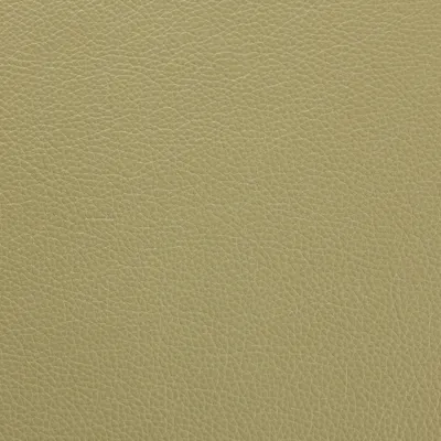 Shelly Sage Leaf swatch
