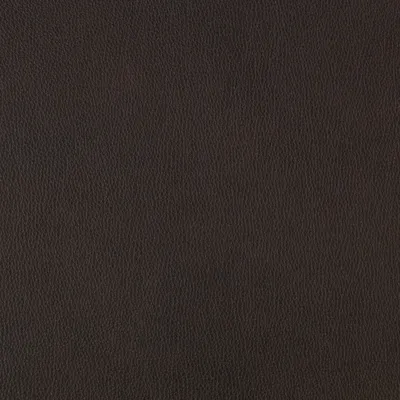 Williamsburg Dark Roast swatch