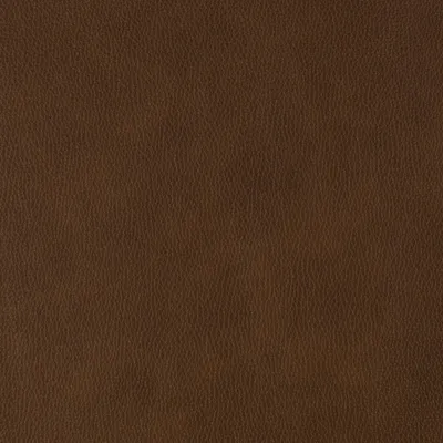 Williamsburg Butterscotch swatch