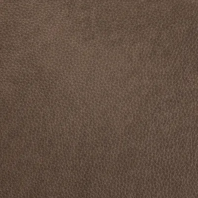 Williamsburg Cobblestone swatch