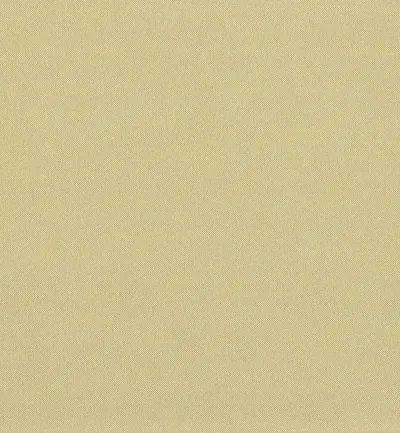 All Seasons Champagne swatch