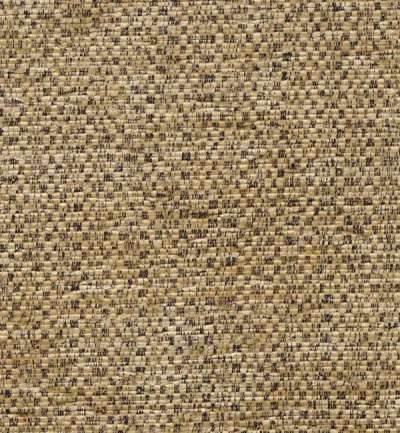Alto Cocoa swatch