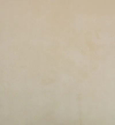 Cambio Champagne swatch
