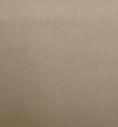 Cambio Biscuit swatch