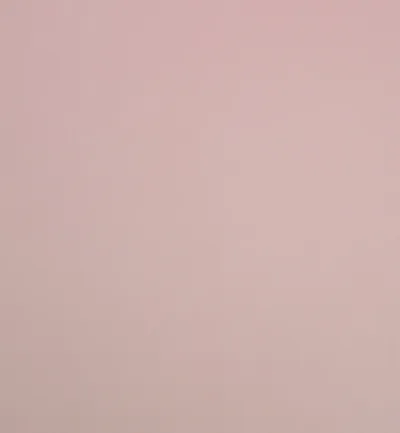 Cambio Blush swatch