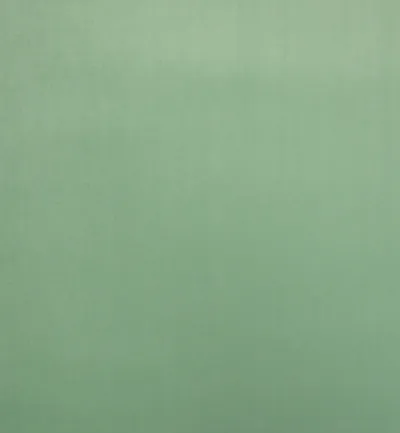 Cambio Duck Egg swatch