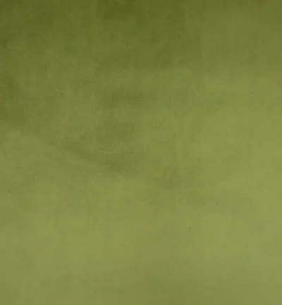 Cambio Olive swatch