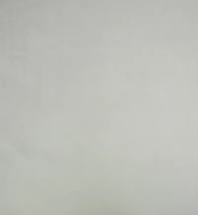 Cambio Silver swatch