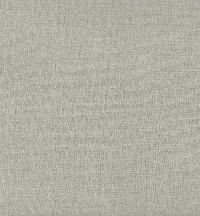 Cantare Silver swatch
