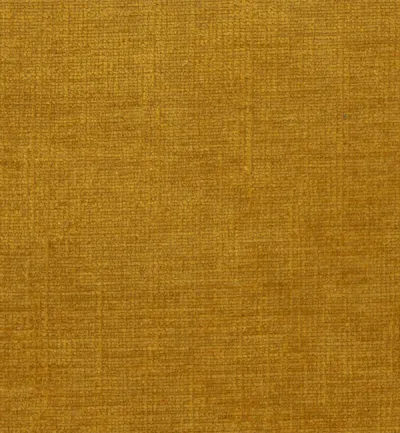 Celina Honey swatch