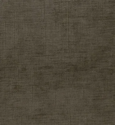 Celina Driftwood swatch