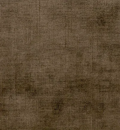 Celina Treacle swatch