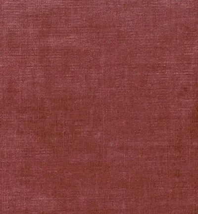 Celina Lust swatch