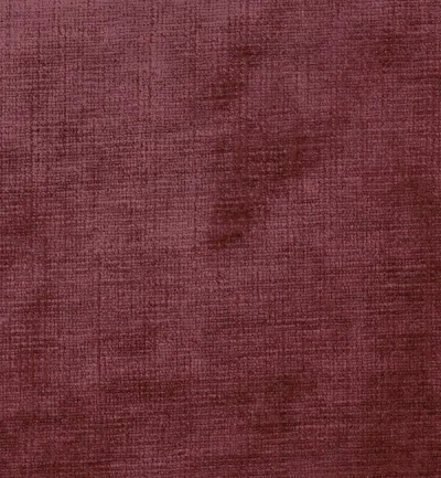 Celina Berry swatch