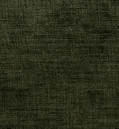 Celina Olive swatch
