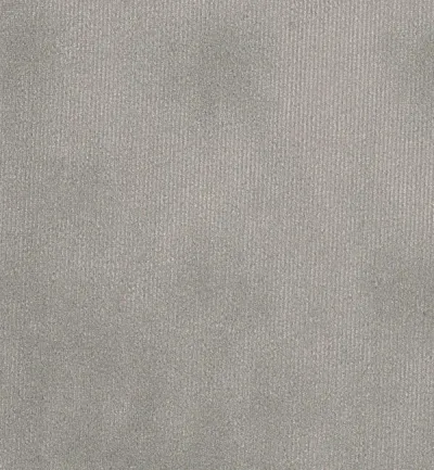 Dolce Shark swatch