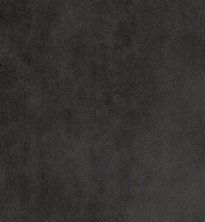 Dolce Raven swatch