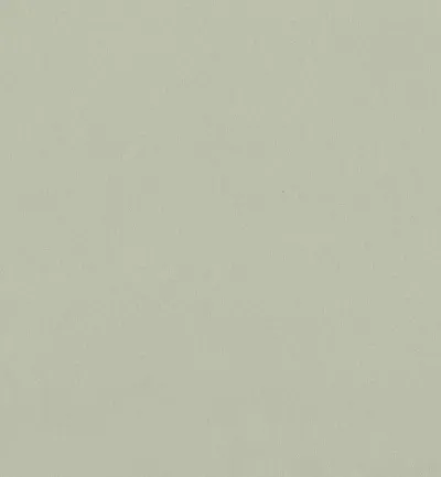 Dream Silver swatch