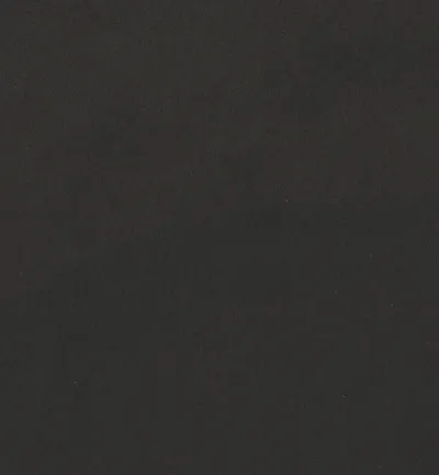 Dream Black swatch